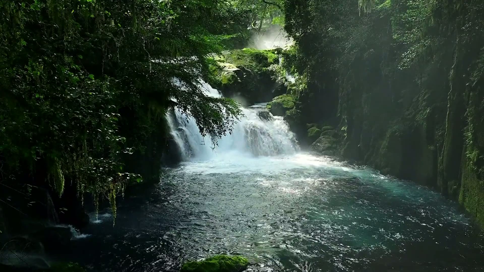 Amis KOKOON réunis autour d'une grande table